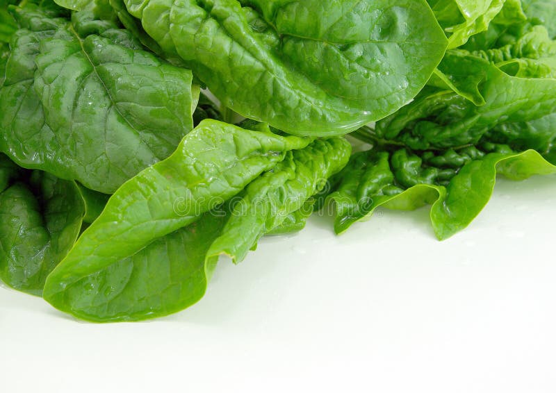 Fresh spinach stock image. Image of vegetables, mediterranean - 37644375
