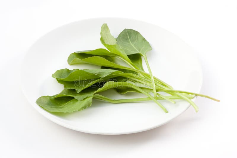 Fresh spinach