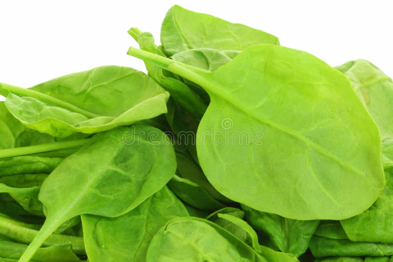 Fresh Spinach leaves stock image. Image of edible, food - 36242765