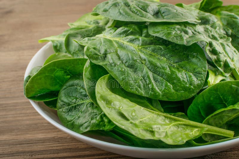 Fresh Spinach Leaves stock photo. Image of organic, grow - 116286814