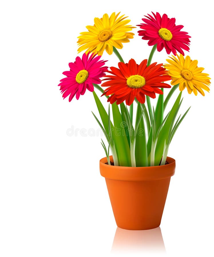 Fresh spring color flowers stock illustration