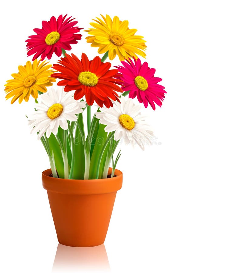 Fresh spring color flowers Vector stock illustration