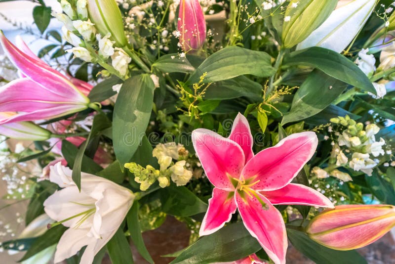 Fresh spring flowers stock photo. Image of multicolored 265224380