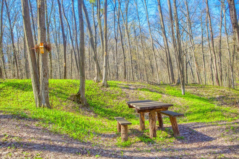 Place for picnic stock photo. Image of summer, outdoors - 138741394