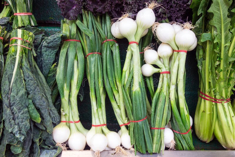 Fresh Spring Onions for Sale in Shop Stock Photo Image of ingredient