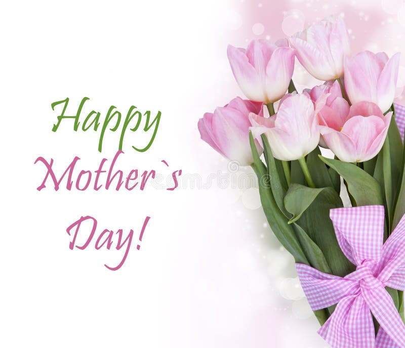 Fresh spring tulip flowers as a holiday postcard design royalty free stock photo Fresh spring tulip flowers as a holiday postcard design royalty free stock photo