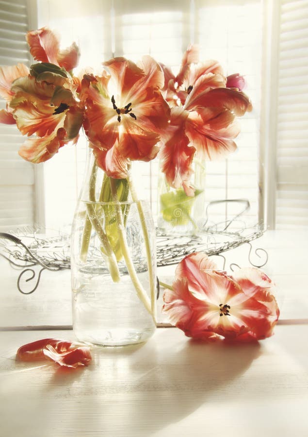 Fresh spring tulips in old milk bottle