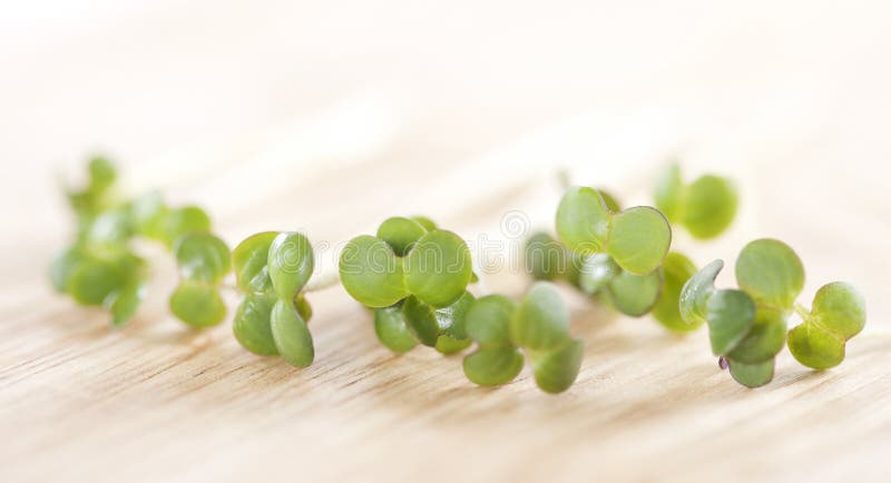 Fresh sprouts