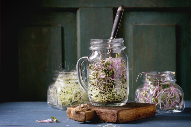 Fresh Sprouts in mason jar