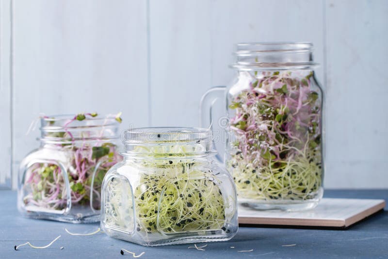 Fresh Sprouts in mason jar