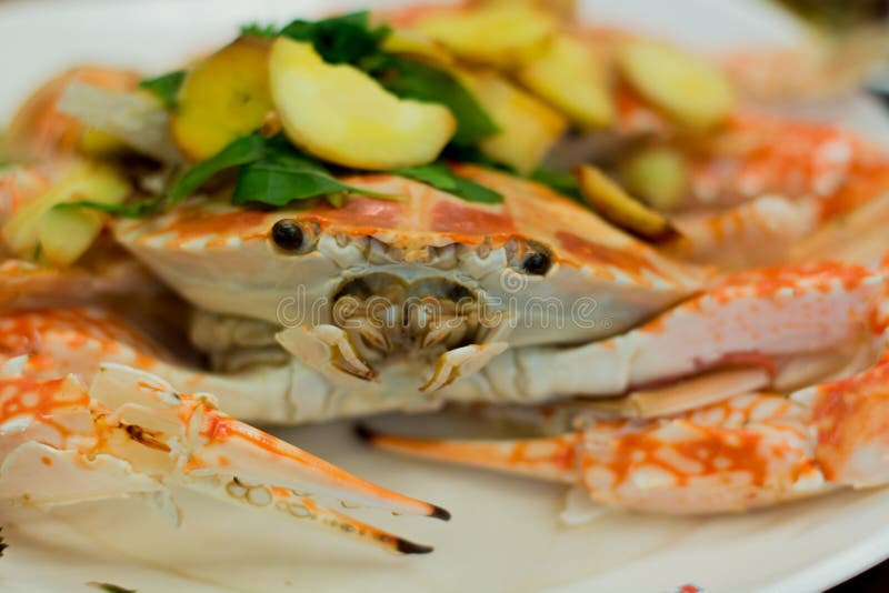 Fresh steam crab stock image. Image of prepared, food 71360845