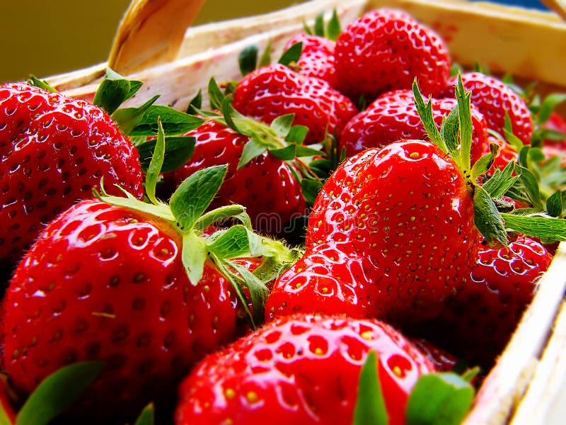 Fresh strawberries