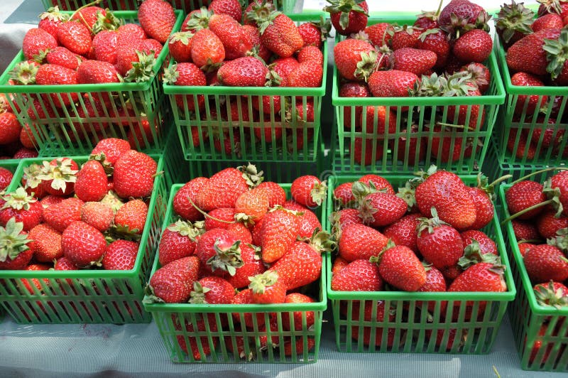 Fresh strawberries