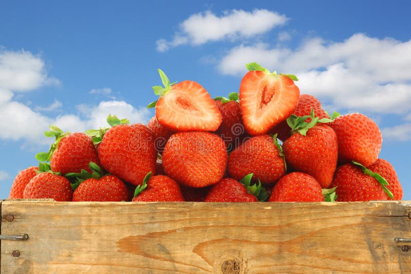 Fresh strawberries and a cut one