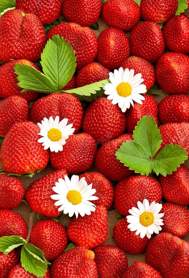 Strawberries Flowers Green Leaves Rustic Background Stock Photo Image
