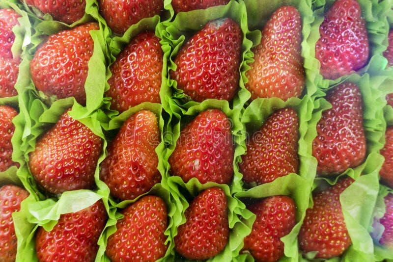 fresh fruit stand near me fresh fruit stand near me
