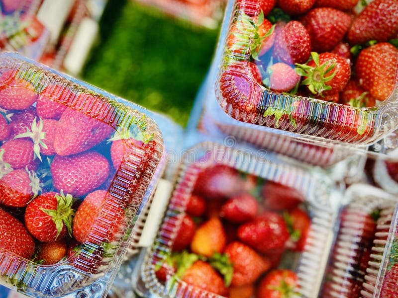 Fresh Strawberries and Other Berries in the Package. Mobile Photo Stock ...