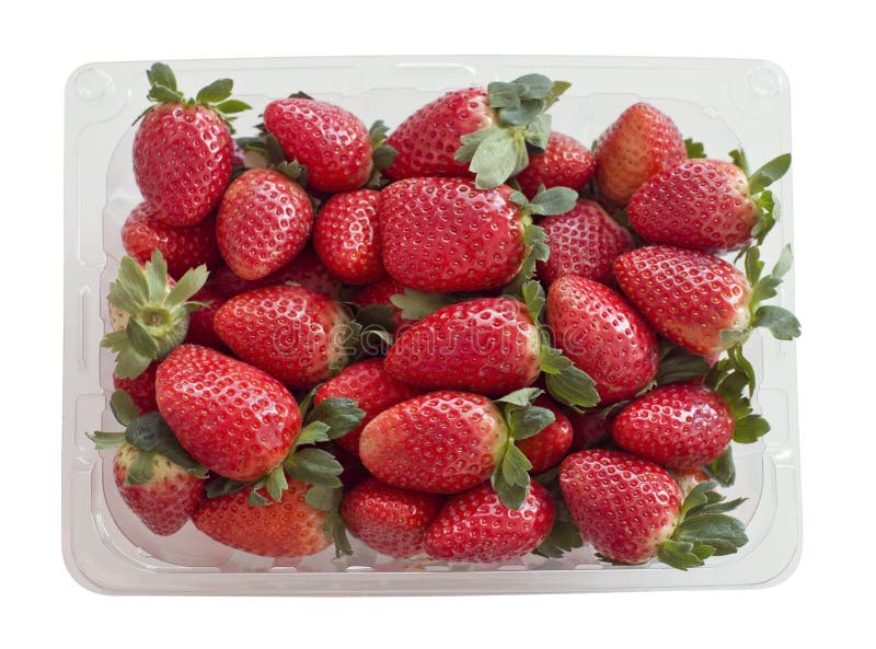 Fresh Strawberries in a Plastic Container Stock Image Image of snake