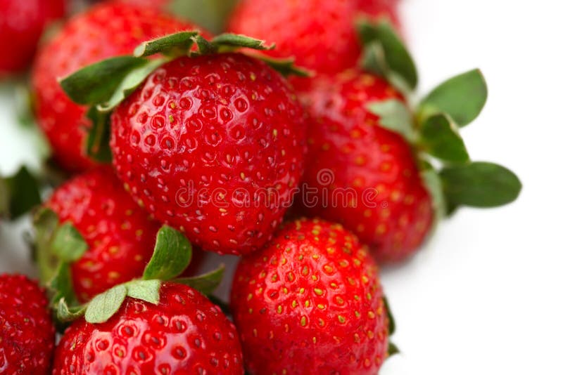 Fresh strawberry stock photography