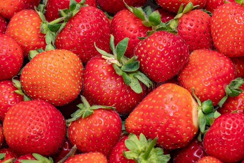 Fresh strawberry as background. Close up, top view, high resolution product. stock image Fresh strawberry as background. Close up, top view, high resolution product. stock image
