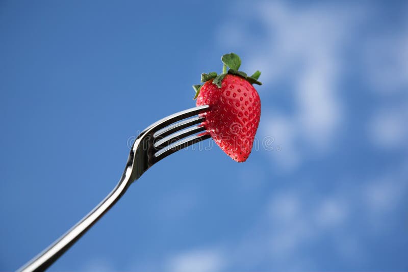 Fresh strawberry on a fork against blue background