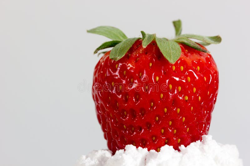 Fresh Strawberry with Sugar Powder Stock Photo Image of market, sweet 39750456