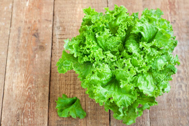 Fresh Green Lettuce Salad Stock Image Image Of Bowl 71331315