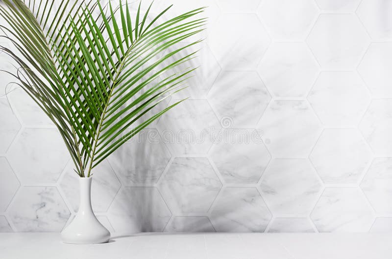 Fresh summer interior with green palm leaves in vase in sun light with shadow on white marble tile wall, wood table, copy space.