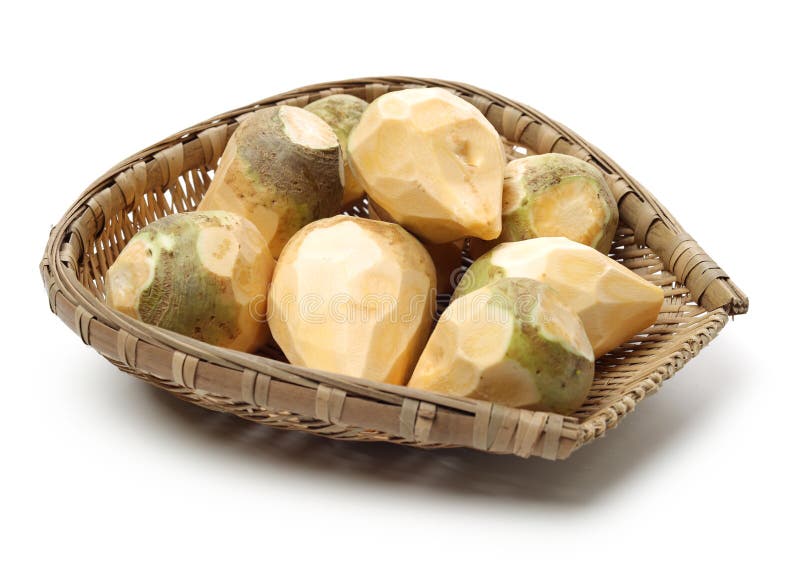 Vegetable Swede stock photo. Image of fresh, root, roots 5888992