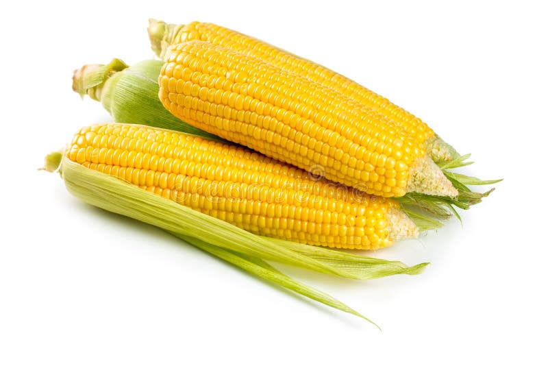 Fresh sweet corn