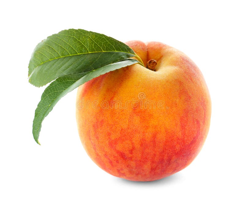 Fresh sweet peach stock image. Image of healthy, harvest 122735265