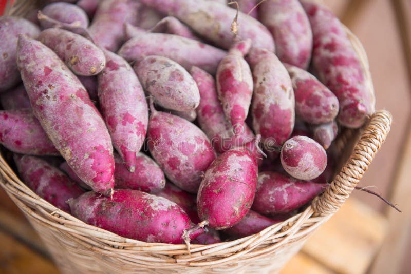 Basket of sweet potatoes stock photo. Image of fresh 18889364