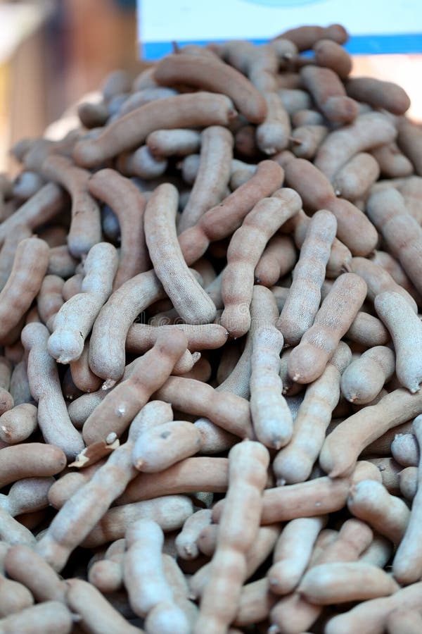 Fresh tamarind fruit. stock image. Image of local, thailand 44551653