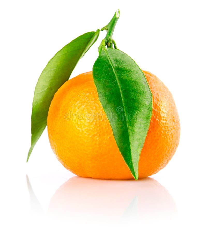 Fresh Tangerine Fruit with Green Leaves Isolated Stock Photo Image of