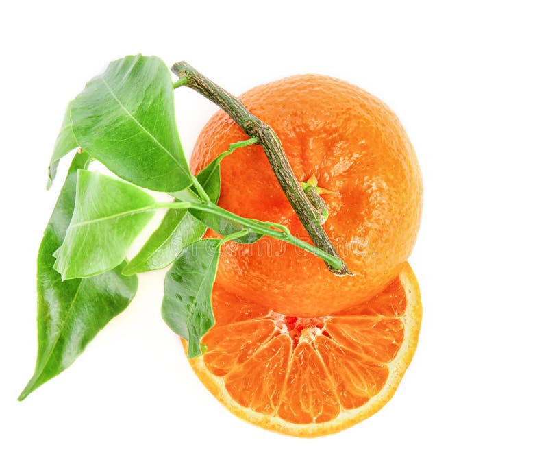 Fresh Tangerine Fruit Isolated On A White Background Genus Citrus