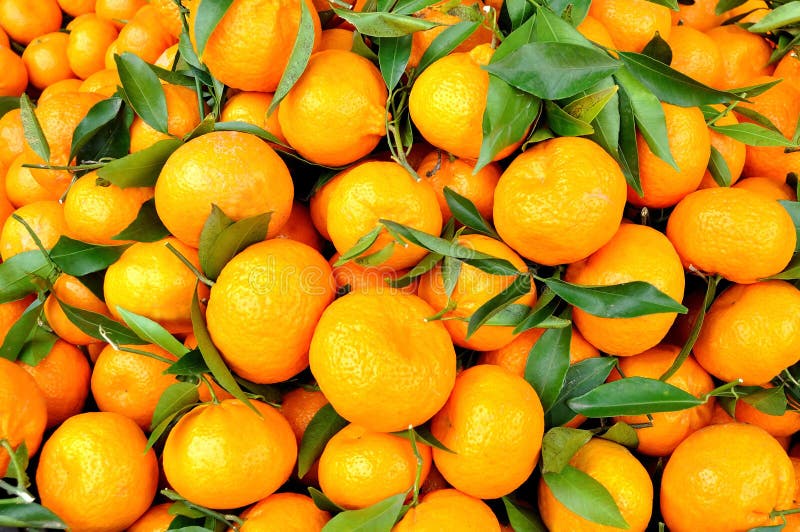 Fresh tangerine fruits with leaves