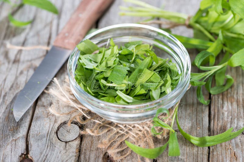 Fresh tarragon herb stock image. Image of gardening, botany 40393739