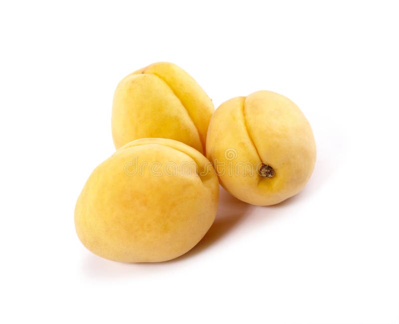 Fresh Tasty Apricots Stilllife. Stock Photo Image of fresh, healthy 10522392