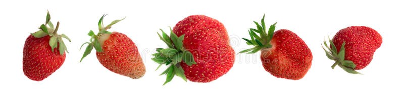 Organic Strawberry Isolated on White Background Close Up