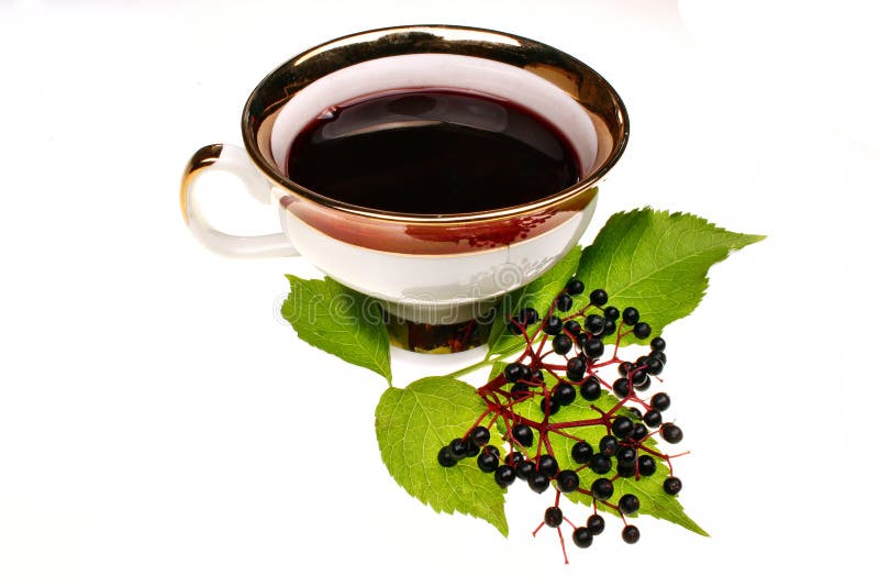 Fresh Tea Fruit Elderberry Isolated Stock Photo Image of background