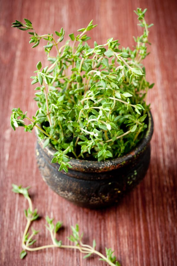 2 tablespoons fresh thyme to dried 2 tablespoons fresh thyme to dried