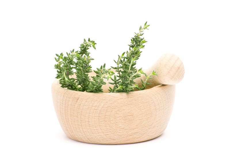 fresh thyme fresh turkey fresh thyme fresh turkey