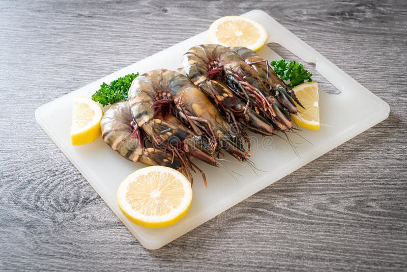 Fresh Tiger Prawn or Shrimp Stock Photo Image of shrimp, prawn 218055302