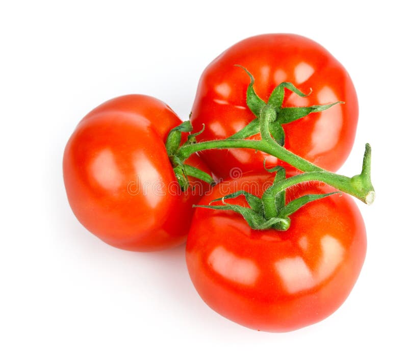 Set Fresh Tomato Fruits with Green Leaves Stock Photo Image of fruit