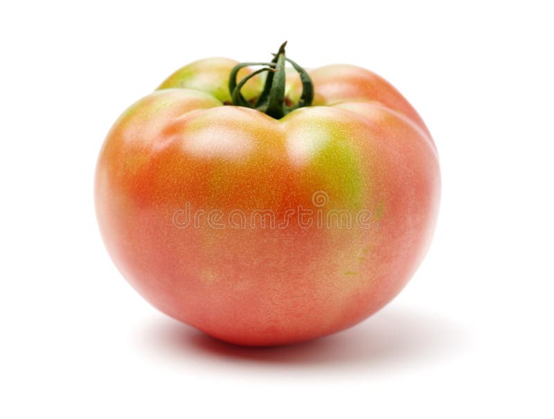 Fresh tomato