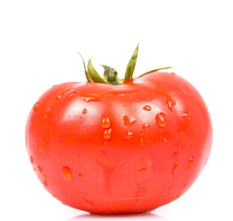 Fresh tomato vegetable with water drops isolated on white royalty free stock photo Fresh tomato vegetable with water drops isolated on white royalty free stock photo