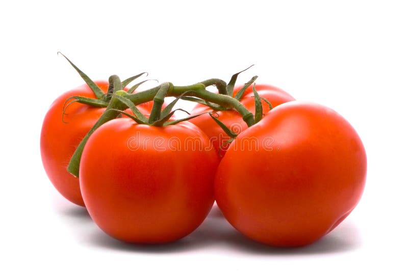 Fresh tomatoes