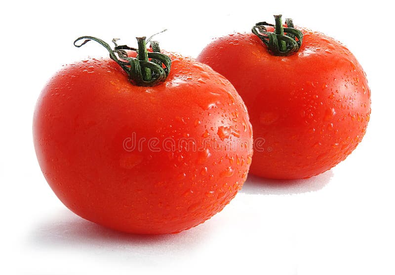 Fresh tomatoes