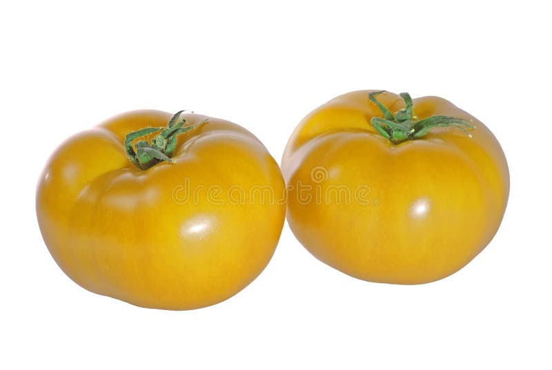 Fresh tomatoes