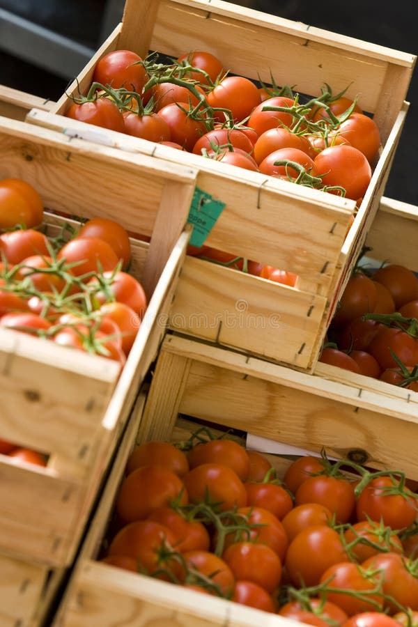 Fresh Tomatoes stock image Fresh Tomatoes stock image